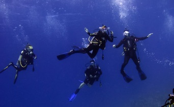 New Open Water Divers!